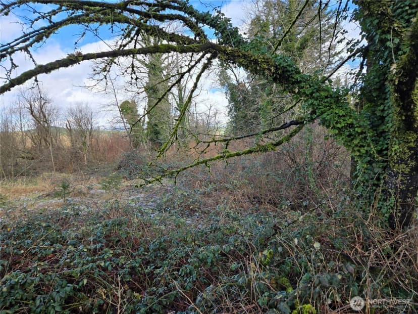 Property photo for 615 Croft Avenue W, Gold Bar photo 7