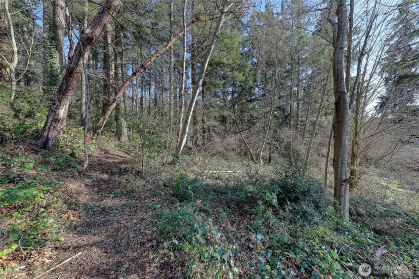 Property photo for 9190 Fox Cove Lane Ne, Bainbridge Island photo 18