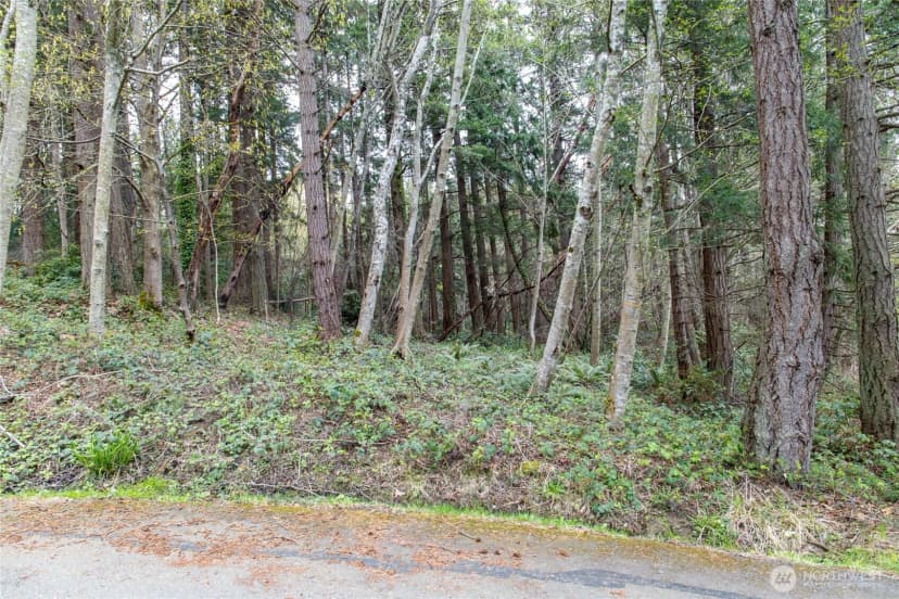 Property photo for 9190 Fox Cove Lane Ne, Bainbridge Island photo 11