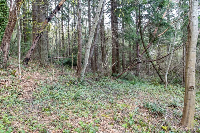 Property photo for 9190 Fox Cove Lane Ne, Bainbridge Island photo 12