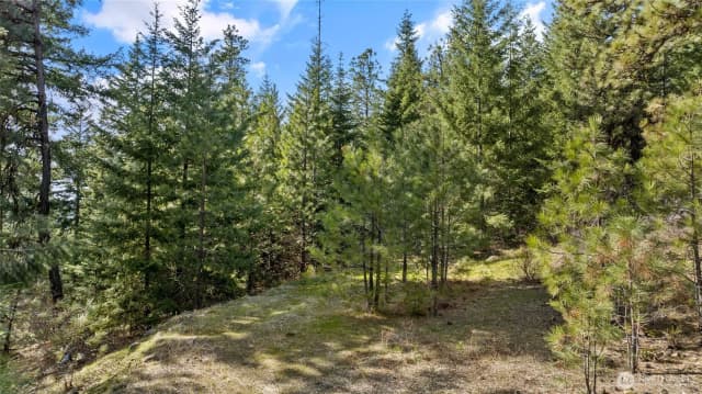 Property photo for 0 Lot B R&r Heights Drive, Roslyn photo 4
