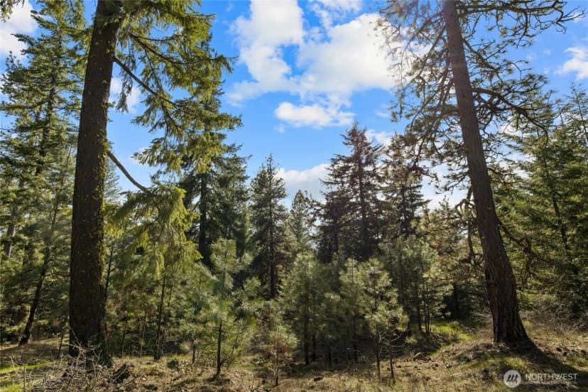 Property photo for 0 Lot B R&r Heights Drive, Roslyn photo 6