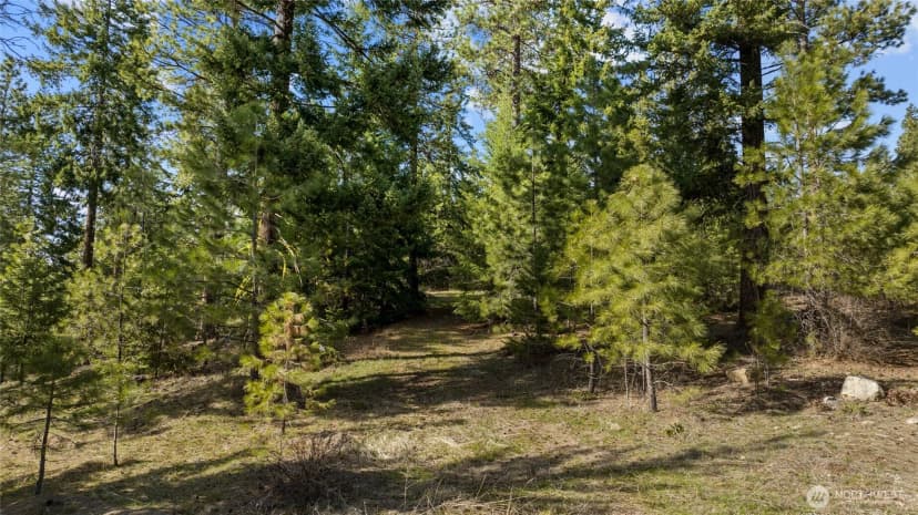 Property photo for 0 Lot B R&r Heights Drive, Roslyn photo 7