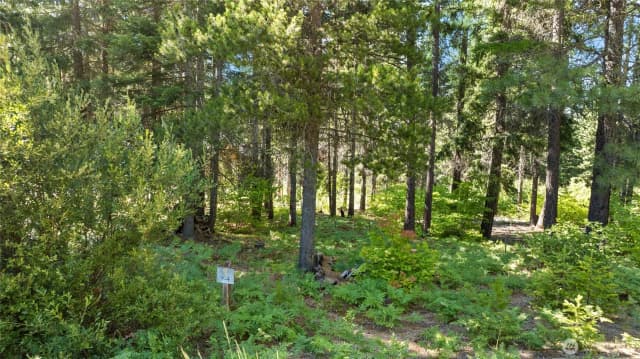 Property photo for 131 Goat Creek Lane, Cle Elum photo 5