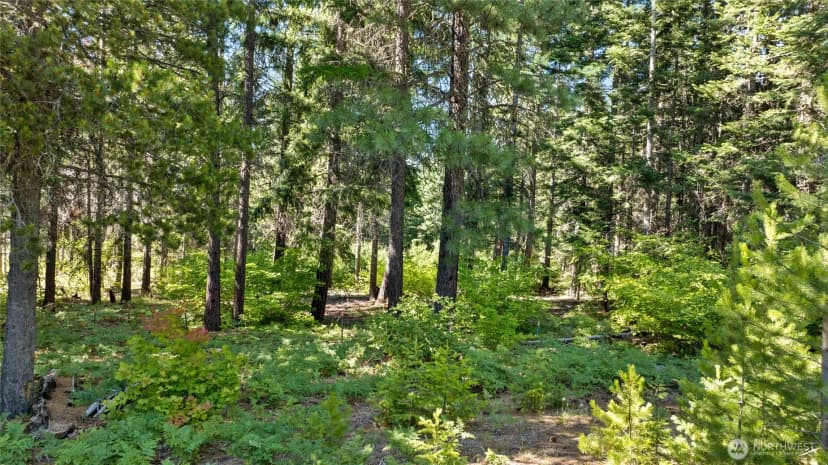 Property photo for 131 Goat Creek Lane, Cle Elum photo 11
