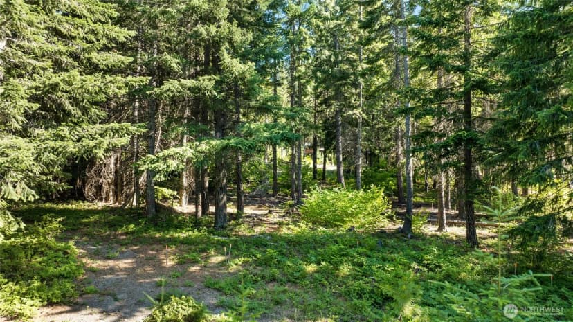 Property photo for 131 Goat Creek Lane, Cle Elum photo 16