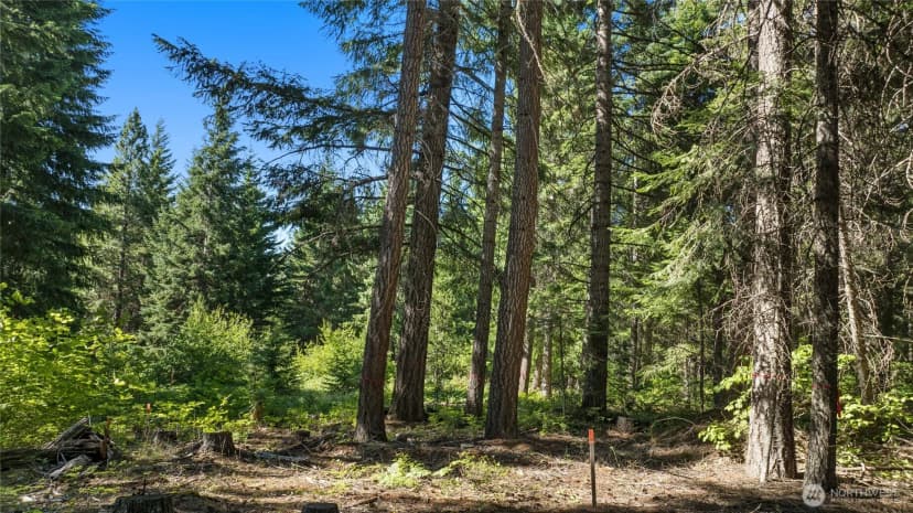 Property photo for 131 Goat Creek Lane, Cle Elum photo 17