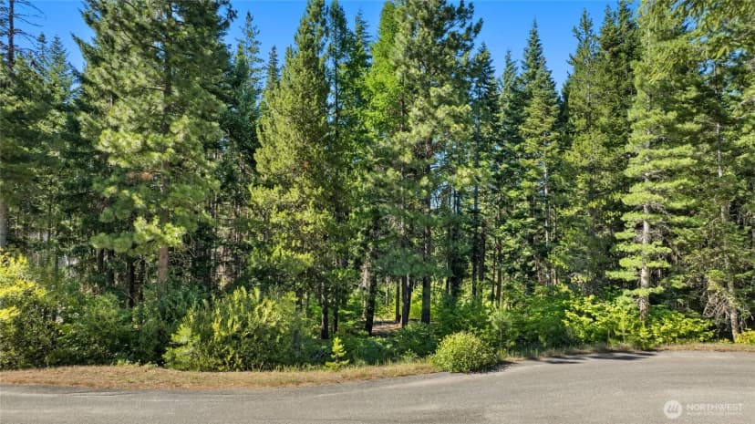 Property photo for 131 Goat Creek Lane, Cle Elum photo 4