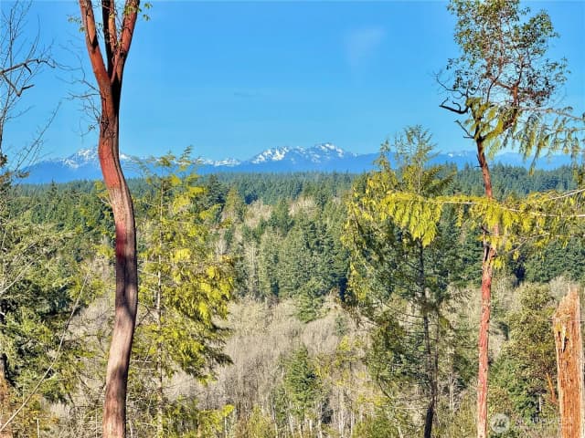 Property photo for 4319 183rd Avenue Ct Sw, Longbranch photo 4