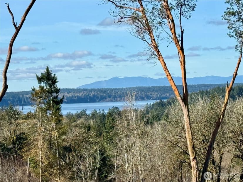 Property photo for 4319 183rd Avenue Ct Sw, Longbranch photo 9