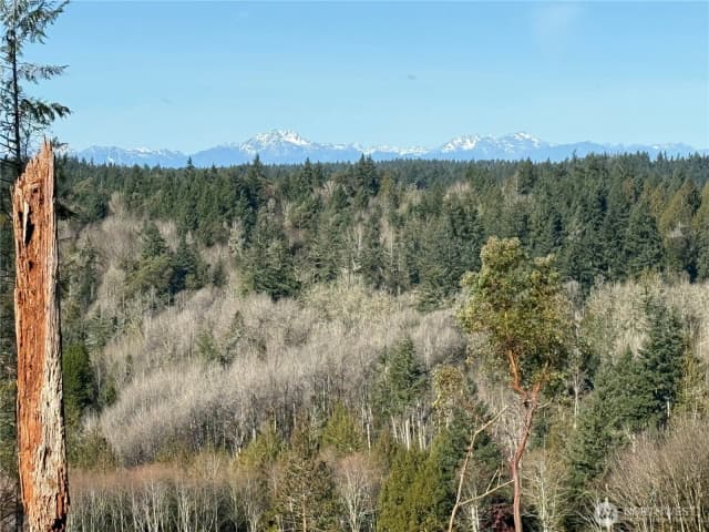 Property photo for 4324 183rd Avenue Ct Sw, Longbranch photo 4