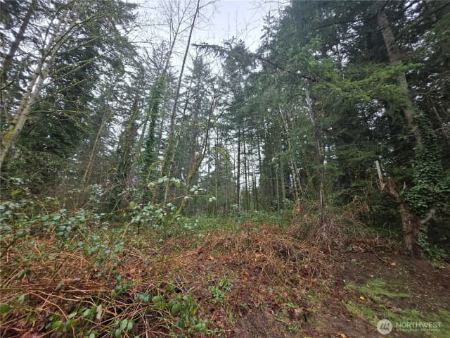 Property photo for 18 Xxx 120th Avenue Se, Renton photo 4