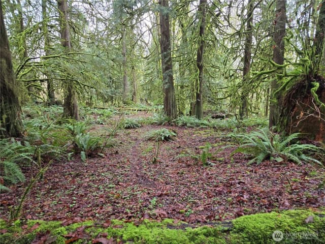 Property photo for 183 Xx 123rd (southern Lot) Avenue Ne, Arlington photo 5