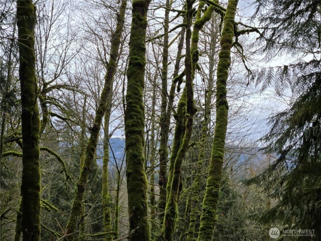 Property photo for 183 Xx 123rd (southern Lot) Avenue Ne, Arlington photo 3