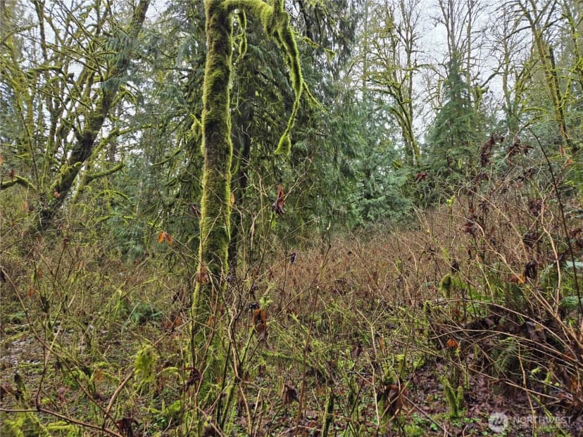 Property photo for 183 Xx 123rd (southern Lot) Avenue Ne, Arlington photo 15