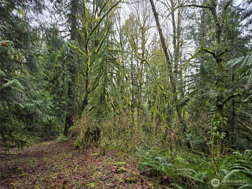 Property photo for 183 Xx 123rd (southern Lot) Avenue Ne, Arlington photo 18