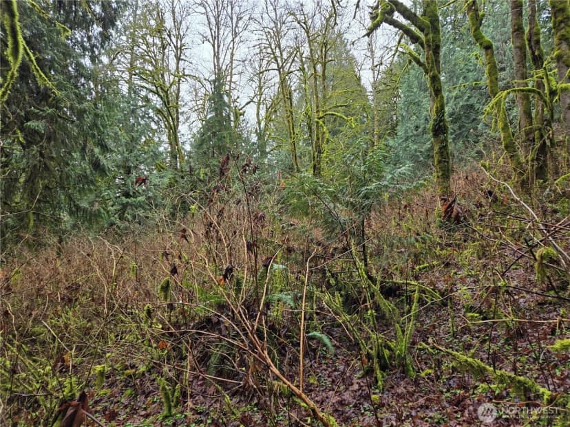 Property photo for 183 Xx 123rd (southern Lot) Avenue Ne, Arlington photo 14