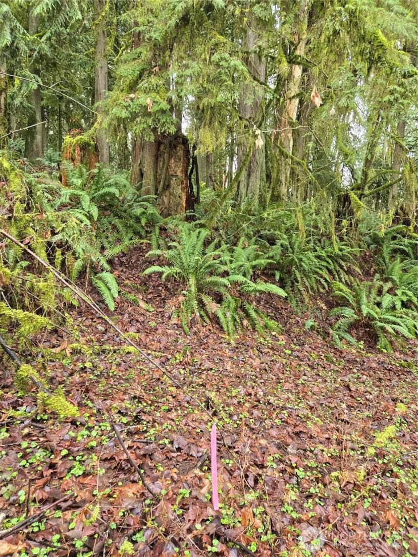 Property photo for 183 Xx 123rd (southern Lot) Avenue Ne, Arlington photo 16