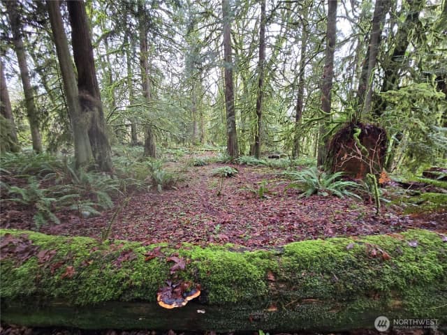 Property photo for 183 Xx 123rd (southern Lot) Avenue Ne, Arlington photo 4