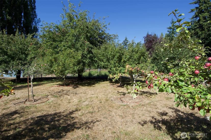 Property photo for 477 Wasankari Road, Port Angeles photo 26