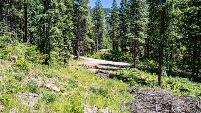 Property photo for 16757 Second Creek Road, Leavenworth photo 5