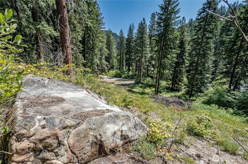 Property photo for 16757 Second Creek Road, Leavenworth photo 7