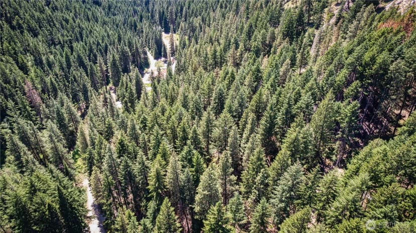 Property photo for 16757 Second Creek Road, Leavenworth photo 19