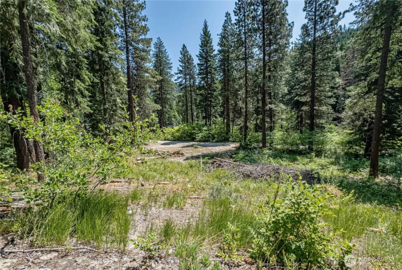 Property photo for 16757 Second Creek Road, Leavenworth photo 10