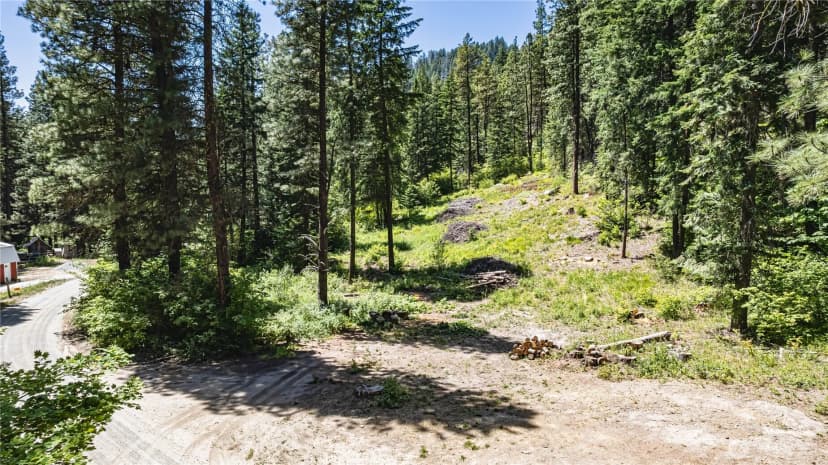 Property photo for 16757 Second Creek Road, Leavenworth photo 4