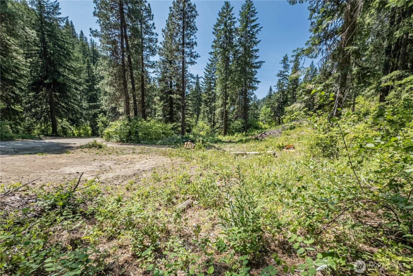 Property photo for 16757 Second Creek Road, Leavenworth photo 8