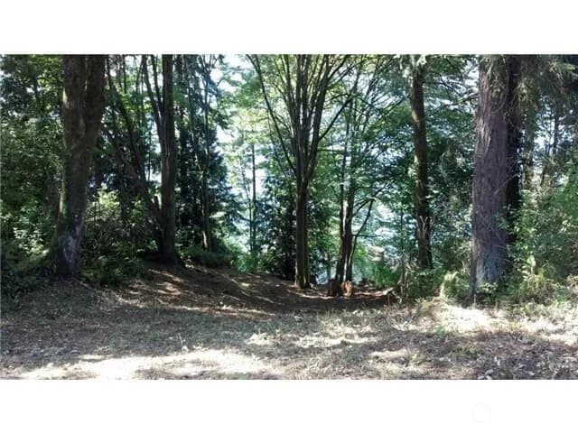 Property photo for 163 Xx Inglewood Road Ne, Kenmore photo 5