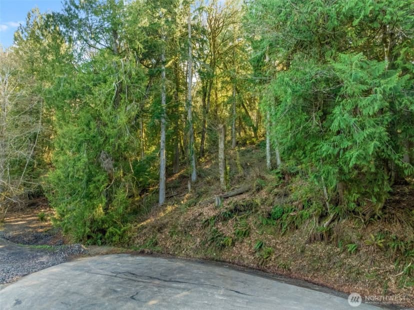 Property photo for 0 Talmo Drive Nw, Gig Harbor photo 8