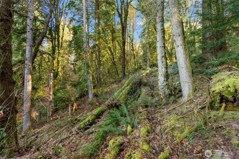 Property photo for 0 Talmo Drive Nw, Gig Harbor photo 11