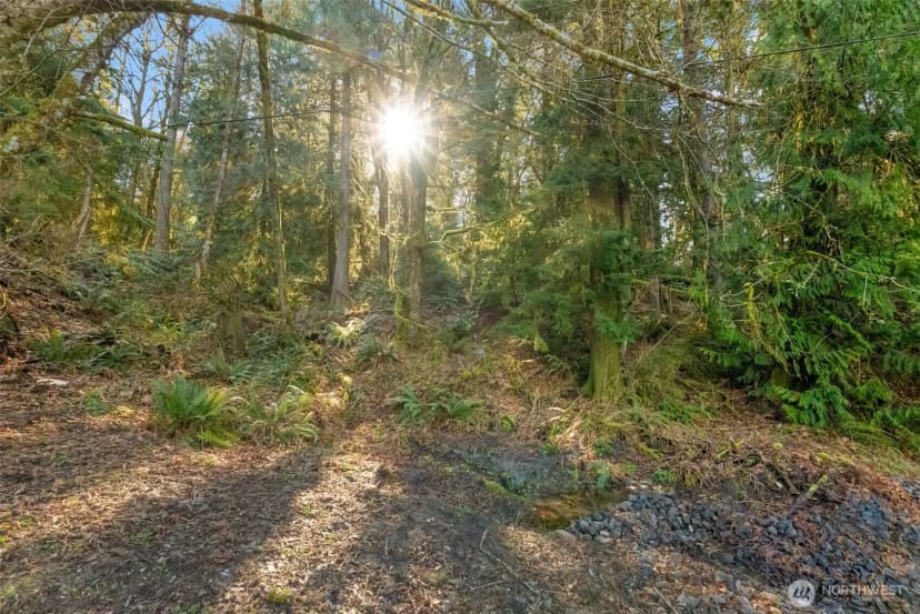 Property photo for 0 Talmo Drive Nw, Gig Harbor photo 10