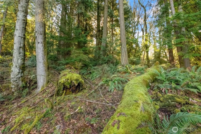 Property photo for 0 Talmo Drive Nw, Gig Harbor photo 13
