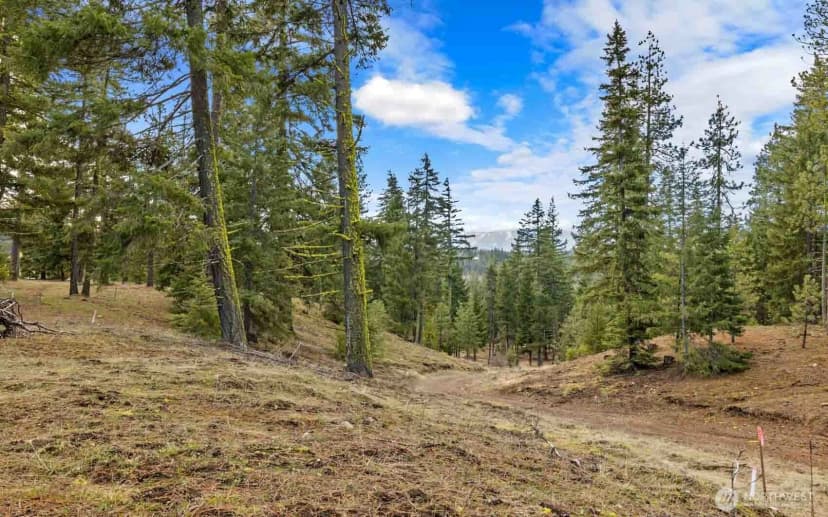 Property photo for 17 Wanawish Loop, Cle Elum photo 27