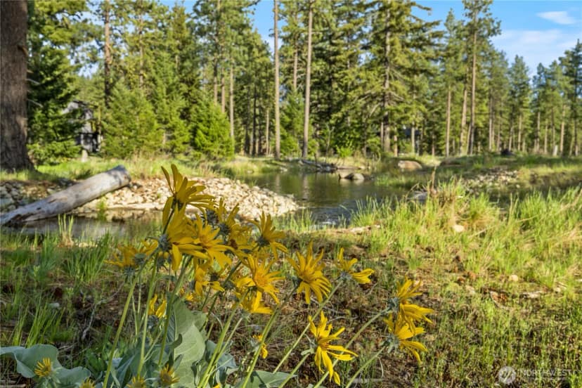 Property photo for 17 Wanawish Loop, Cle Elum photo 16