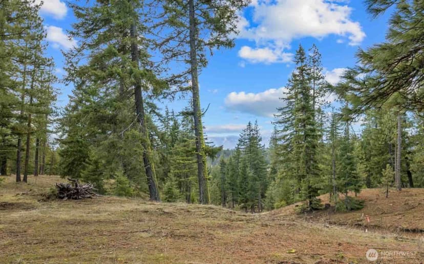 Property photo for 17 Wanawish Loop, Cle Elum photo 25