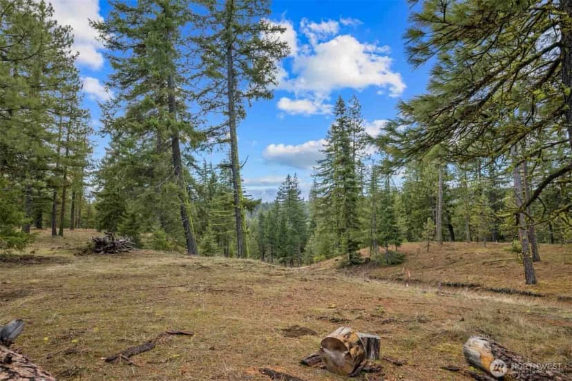 Property photo for 17 Wanawish Loop, Cle Elum photo 26