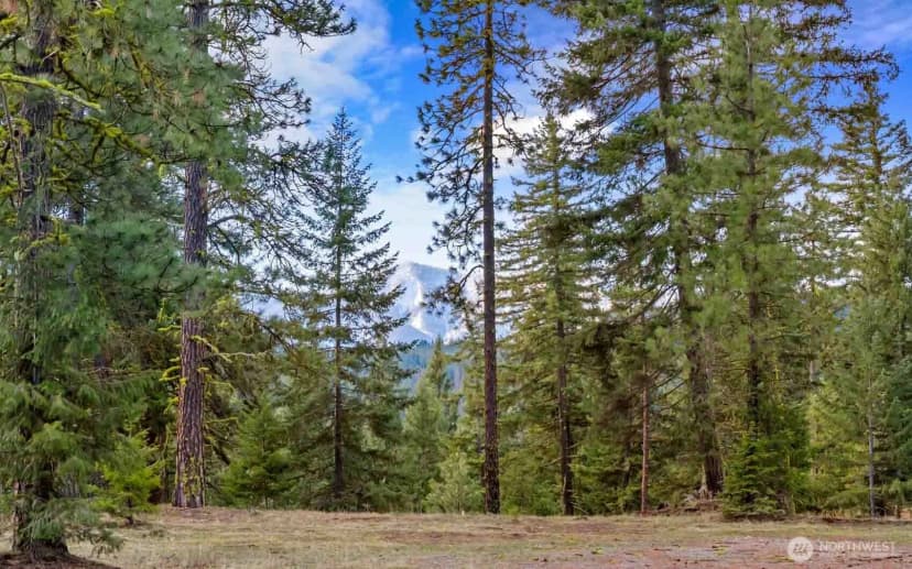 Property photo for 17 Wanawish Loop, Cle Elum photo 24