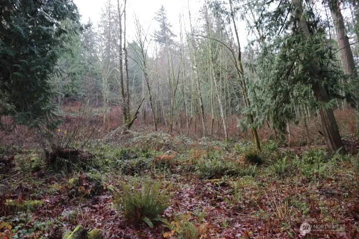 Property photo for 18700 Se 64th Way, Issaquah photo 7