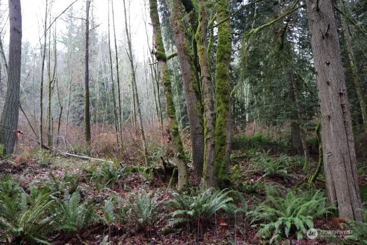 Property photo for 18700 Se 64th Way, Issaquah photo 8