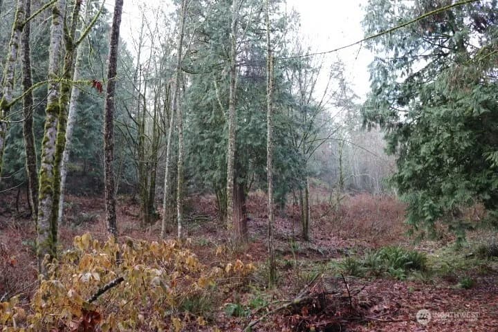 Property photo for 18700 Se 64th Way, Issaquah photo 2