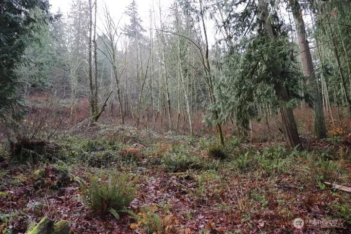 Property photo for 18700 Se 64th Way, Issaquah photo 6