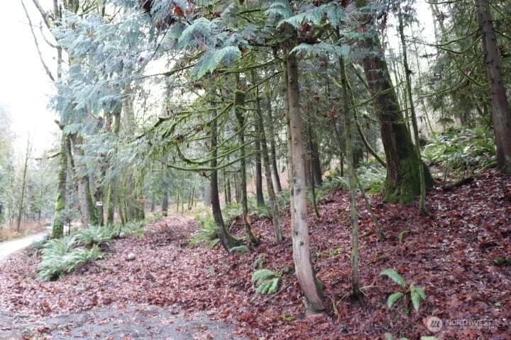 Property photo for 18700 Se 64th Way, Issaquah photo 10