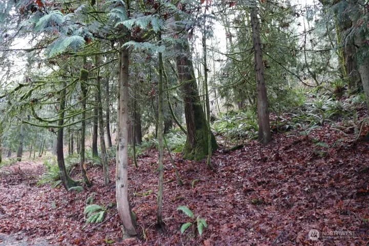 Property photo for 18700 Se 64th Way, Issaquah photo 9