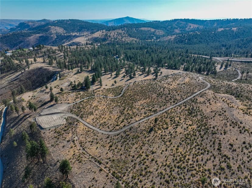 Property photo for 0 Evergreen Camp Rd. Parcel B, Chelan photo 11