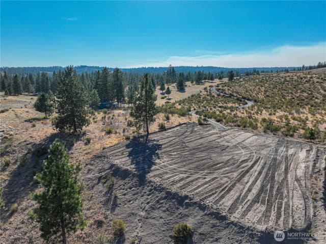 Property photo for 0 Evergreen Camp Rd. Parcel C, Chelan photo 4