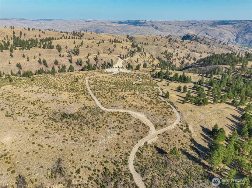 Property photo for 0 Evergreen Camp Rd. Parcel C, Chelan photo 17