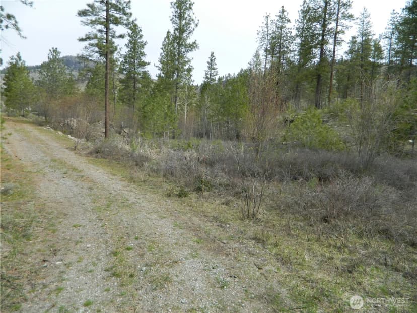 Property photo for 357 Swanson Mill Road, Tonasket photo 13